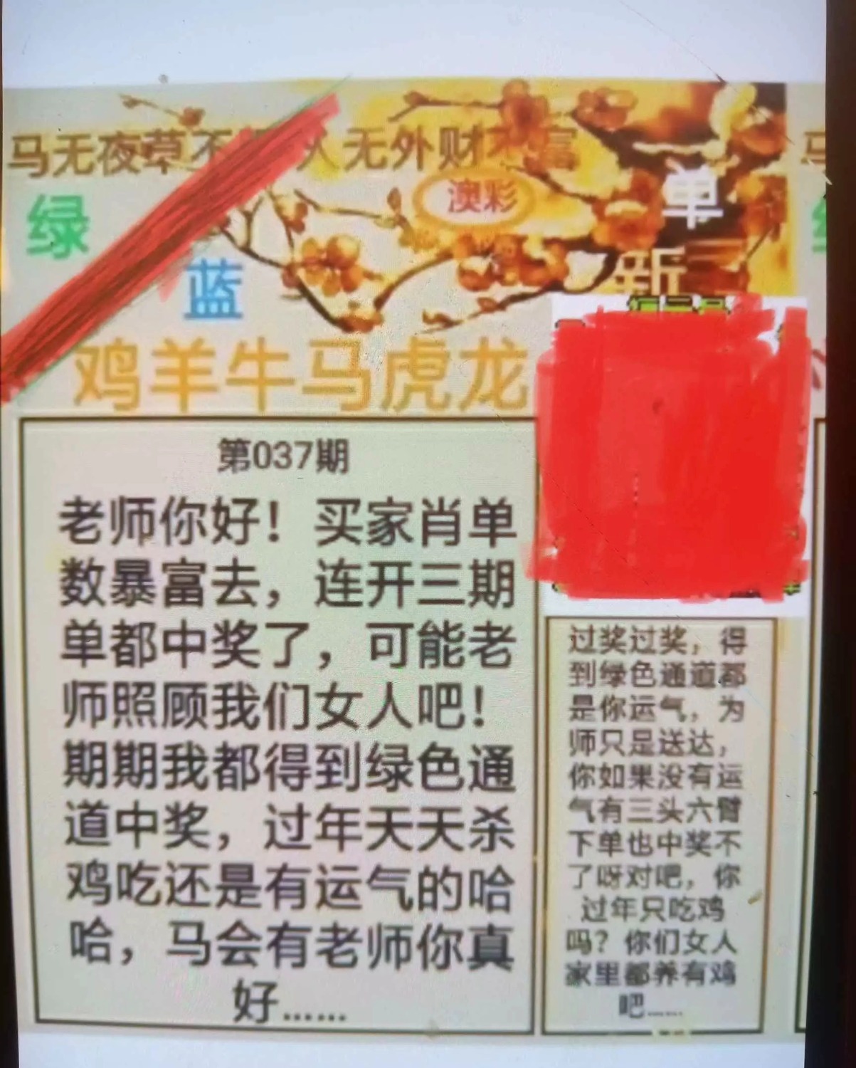 1000034255.jpg